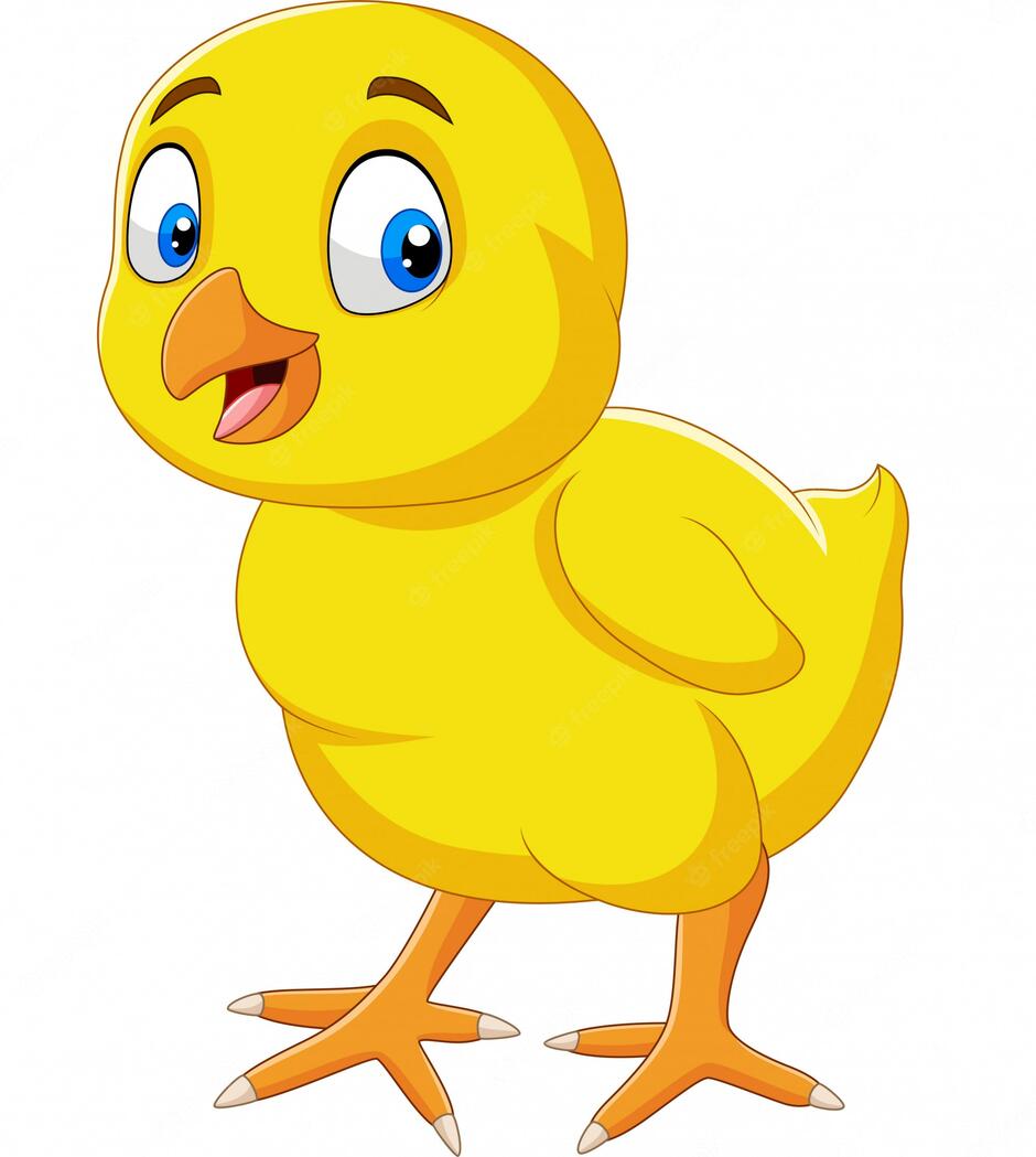 Premium Vector | Cartoon funny little chick isolated on white background