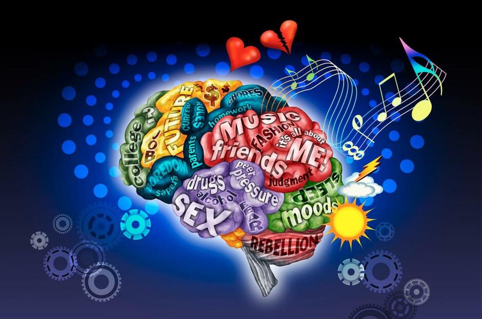 Deciphering the teen brain and behavior - The Columbian