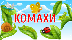 Дидактичний набір "Комахи" (живі картки+художнє слово)