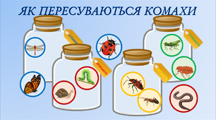 Дидактична гра "Як пересуваються комахи"