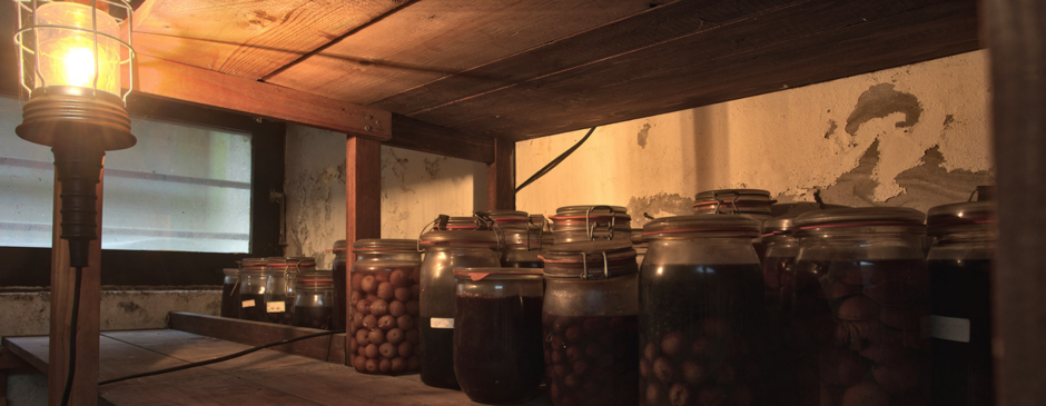 03011yfh-c4e6-940x365.png
