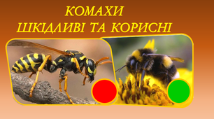 Дидактична гра "Комахи корисні та шкідливі"