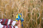 День Конституції в умовах війни: росія відбирає право на життя та освіту