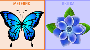 Дидактична гра "Де живуть комахи"