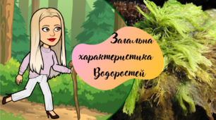 Водорості. Загальна характеристика водоростей.