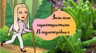 Плауни. Загальна характеристика плауноподібних