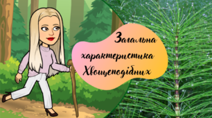 Хвощі. Загальна характеристика хвощеподібних