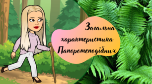 Папороті. Загальна характеристика папоротеподібних