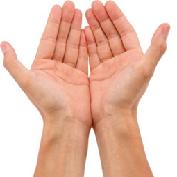 030123dk-5713-255x254.png