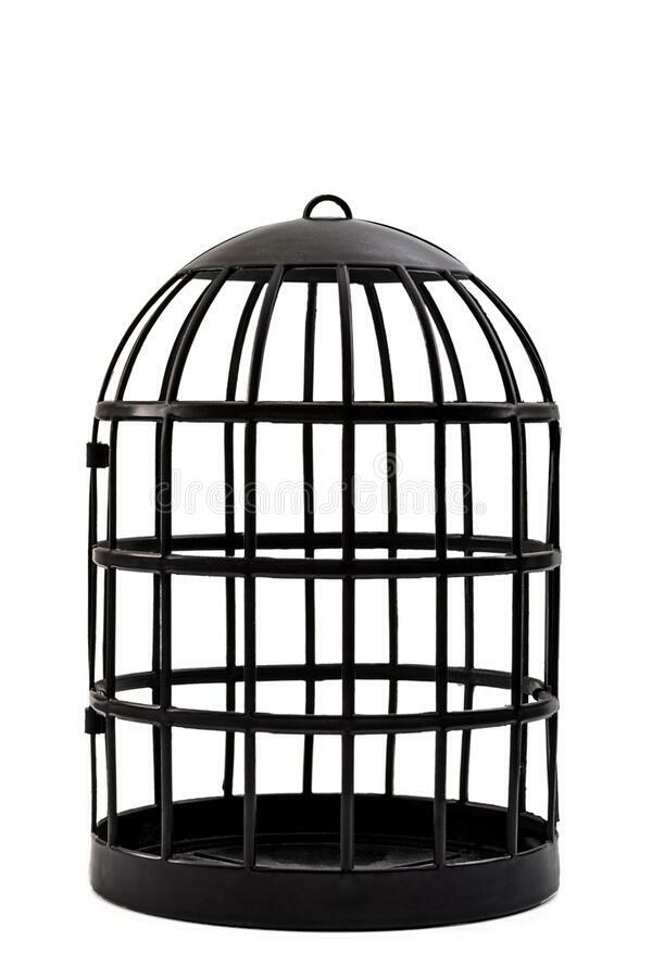 6,028 Empty Cage Photos - Free & Royalty-Free Stock Photos from Dreamstime
