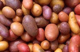 Potato - Wikipedia