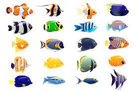 35,865 Tropical Fish Illustrations & Clip Art - iStock