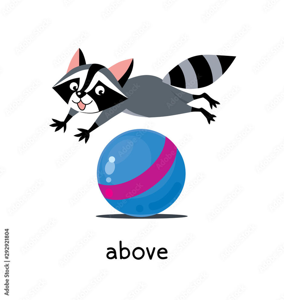 Preposition of place. Raccoon above the ball Stock Vector | Adobe Stock