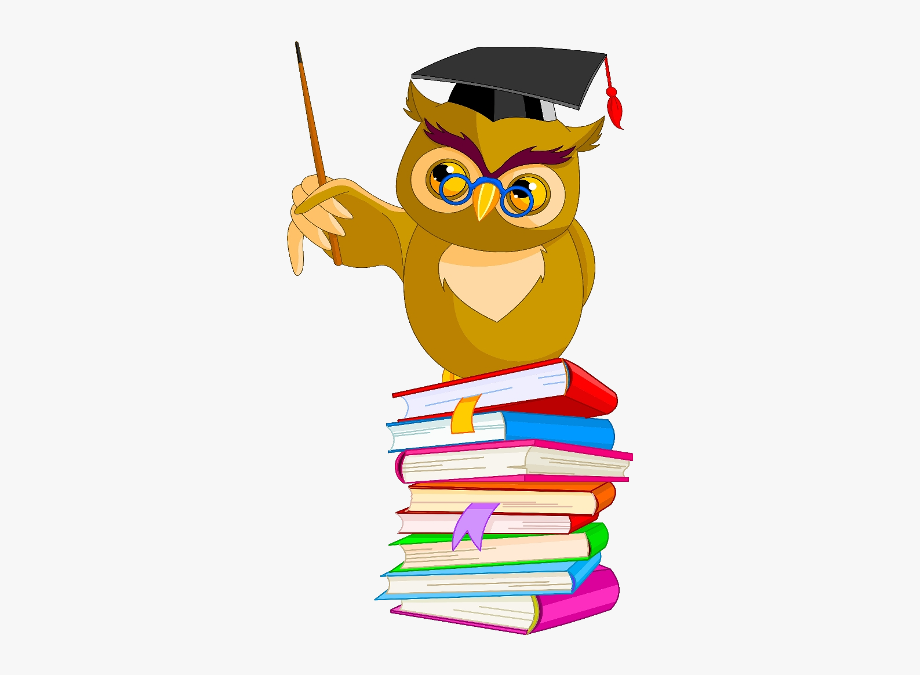The Real Cartoon: Owl Png Cartoon Funny
