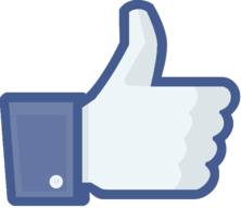 0301245j-333c-222x191.png