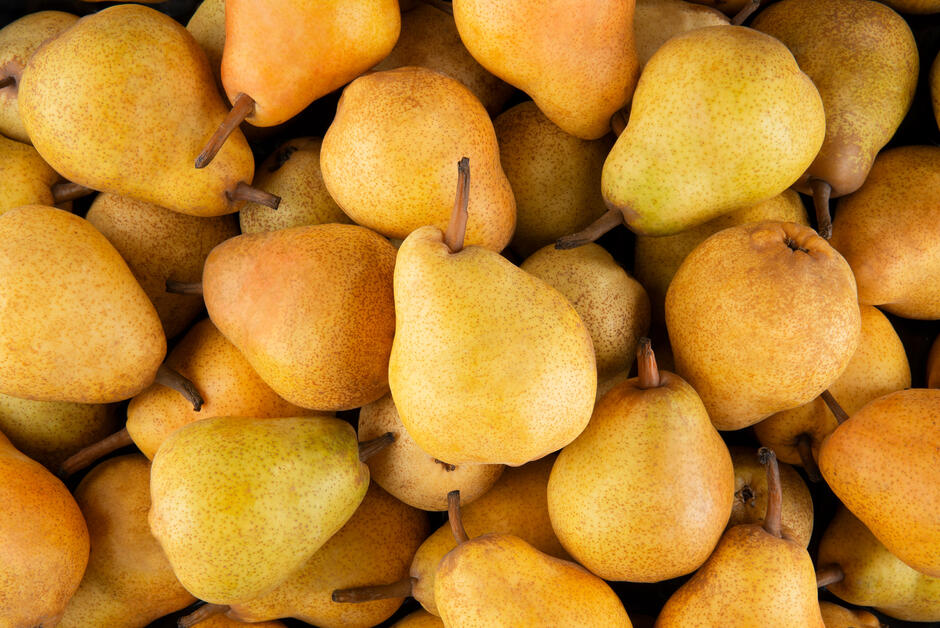 Most Popular Pears in the World - TasteAtlas