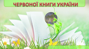 Презентація "Червона книга України"