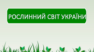 Презентація "Рослинни світ України (за ярусністю)"