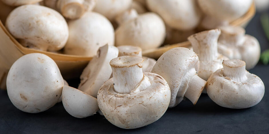 Mushroom: King of the Superfood - Mushrooms and Market Growth