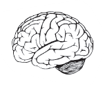 030127td-49e5-152x122.png