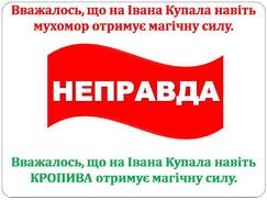 030128i0-9446-243x182.jpg