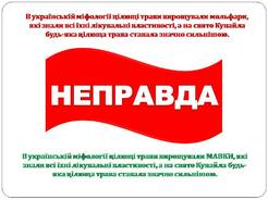 030128ie-6e36-246x184.jpg