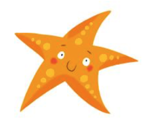 03012a6y-cac6-292x248.png