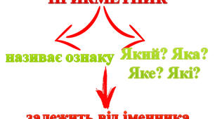 Прикметник. Відмінкові закінчення прикметників
