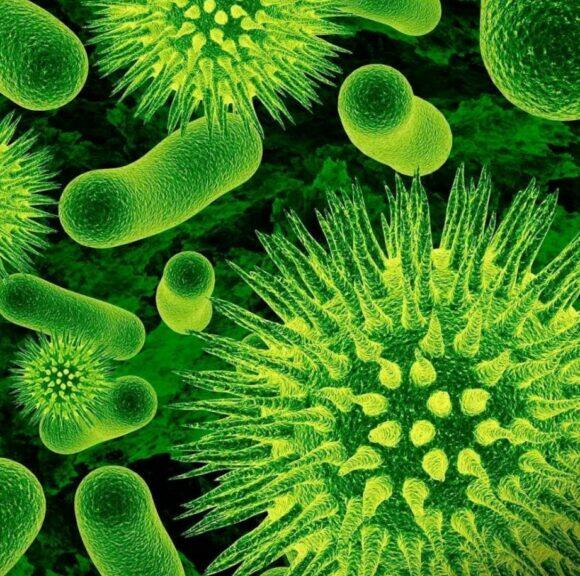 03012c5n-7bc6-580x576.jpg