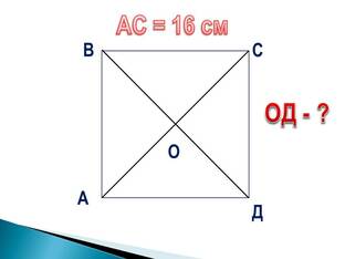 03012cz8-9605-312x234.jpg