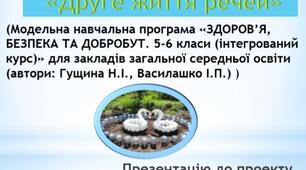 Проект " Друге життя речей"