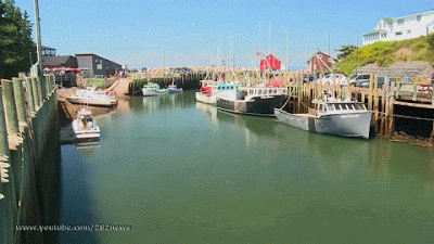 03012eg5-7306-400x225.gif