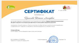 "Будемо вправними вихователями або дієві інструменти та методики для ефективної та легкої роботи працівника дошкілля. Дистанційно підвищила кваліфікацію під час всеукраїнського вебінару 