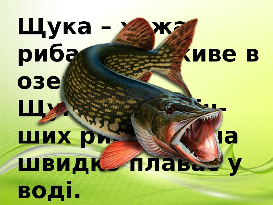 Презентація " Буква Щ та її звукове значення ШЧ " ( перший урок, 1 клас ...