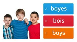 Plural nouns (level I)