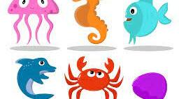 Урок англійської мови у 3 класі з теми "Sea Creatures"