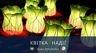 Аудіоказка "Квітка надії" Віта Прачова