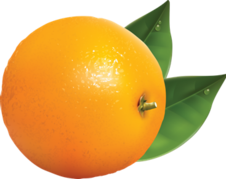03012pu9-0622-226x179.png