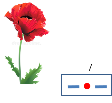 03012pym-9202-369x340.png