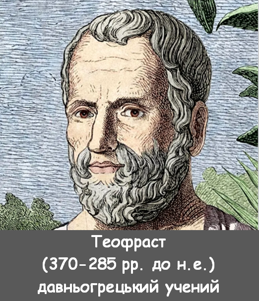 03012r48-fdf3-522x607.png