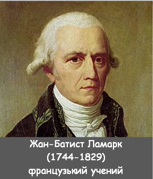 03012r4a-5fd0-523x611.png