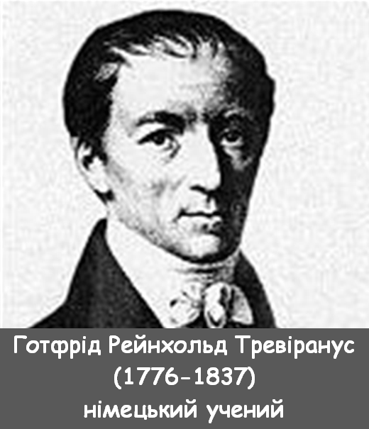 03012r4c-85e2-520x605.png