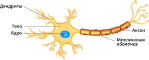 03012s1d-6191-301x122.png