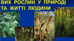 Значення вищих спорових рослин у природі та житті людини