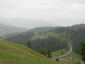 03012scg-40a1-174x131.png