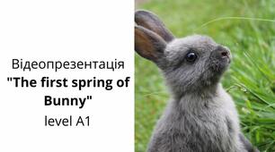 "The first spring of Bunny "відеопрезентація