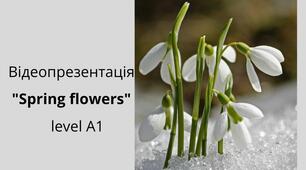 Відеопрезентація "Spring flowers "