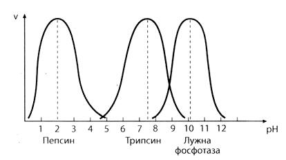 03012sx6-76ce-414x231.jpg