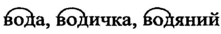 03012tze-3898-438x69.png