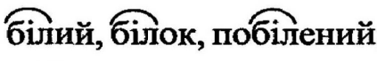 03012tzg-adaf-423x69.png